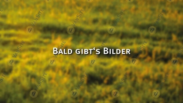 A la ferme A la ferme